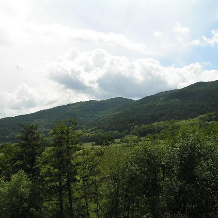 A L'Arbre Vert Wintzfelden Bagian luar foto