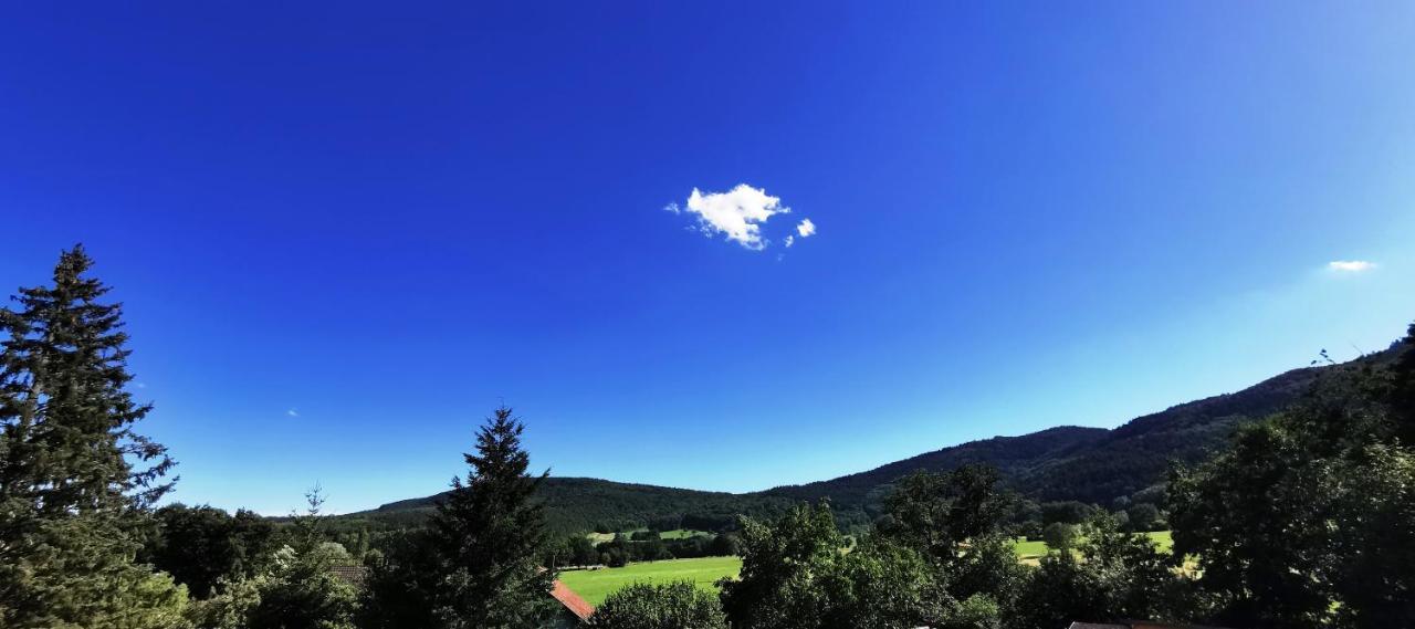 A L'Arbre Vert Wintzfelden Bagian luar foto