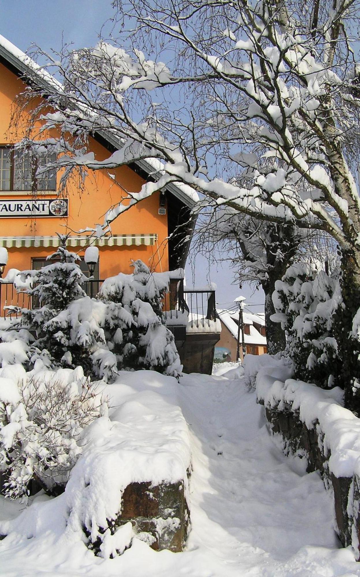A L'Arbre Vert Wintzfelden Bagian luar foto